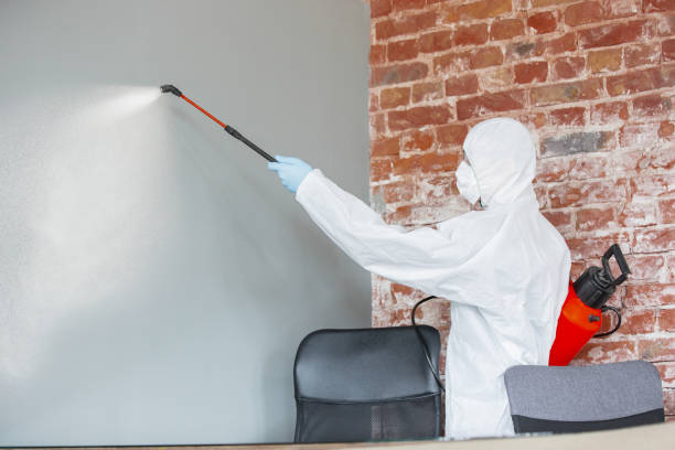 Best Dehumidification Services  in Morningside, MD