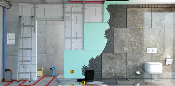 Professional Mold Removal in Morningside, MD