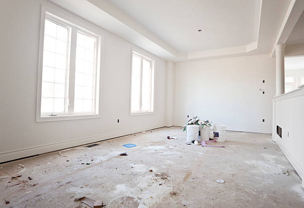 Best Post-Construction Mold Inspection  in Morningside, MD